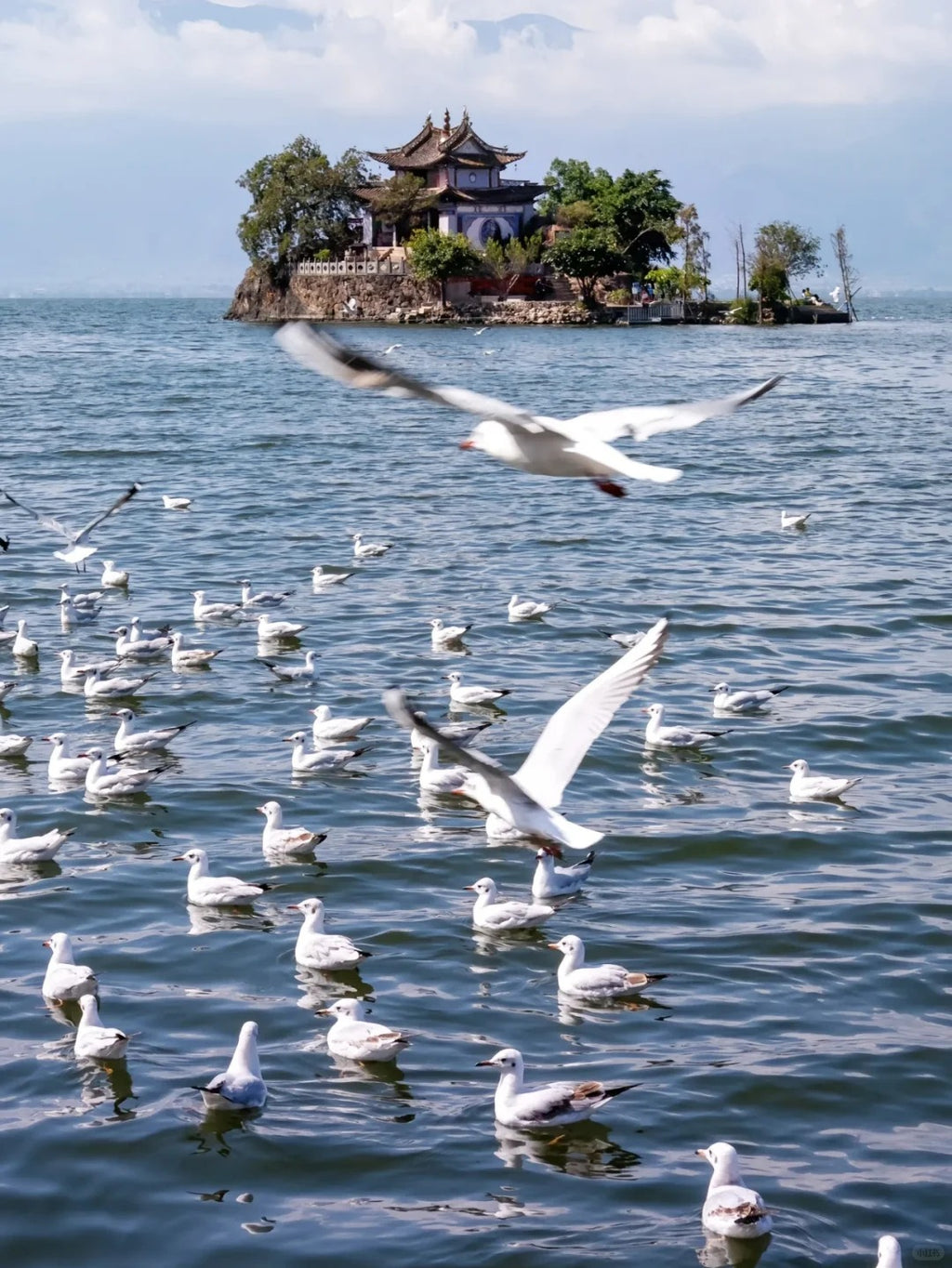 8 Days Private Tour of Kunming - Dali - Lijiang - Shangri-La