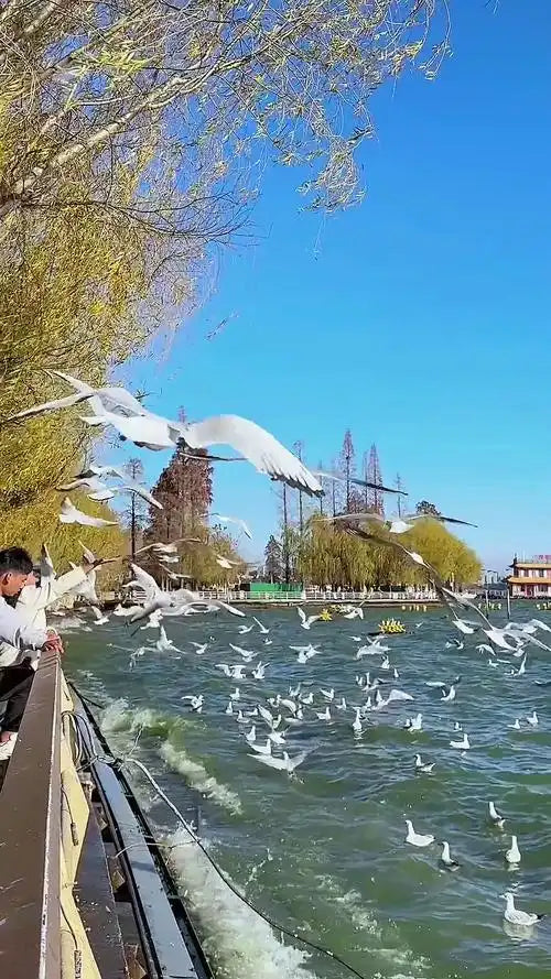 6 Days Private Tour of Kunming - Dali - Lijiang