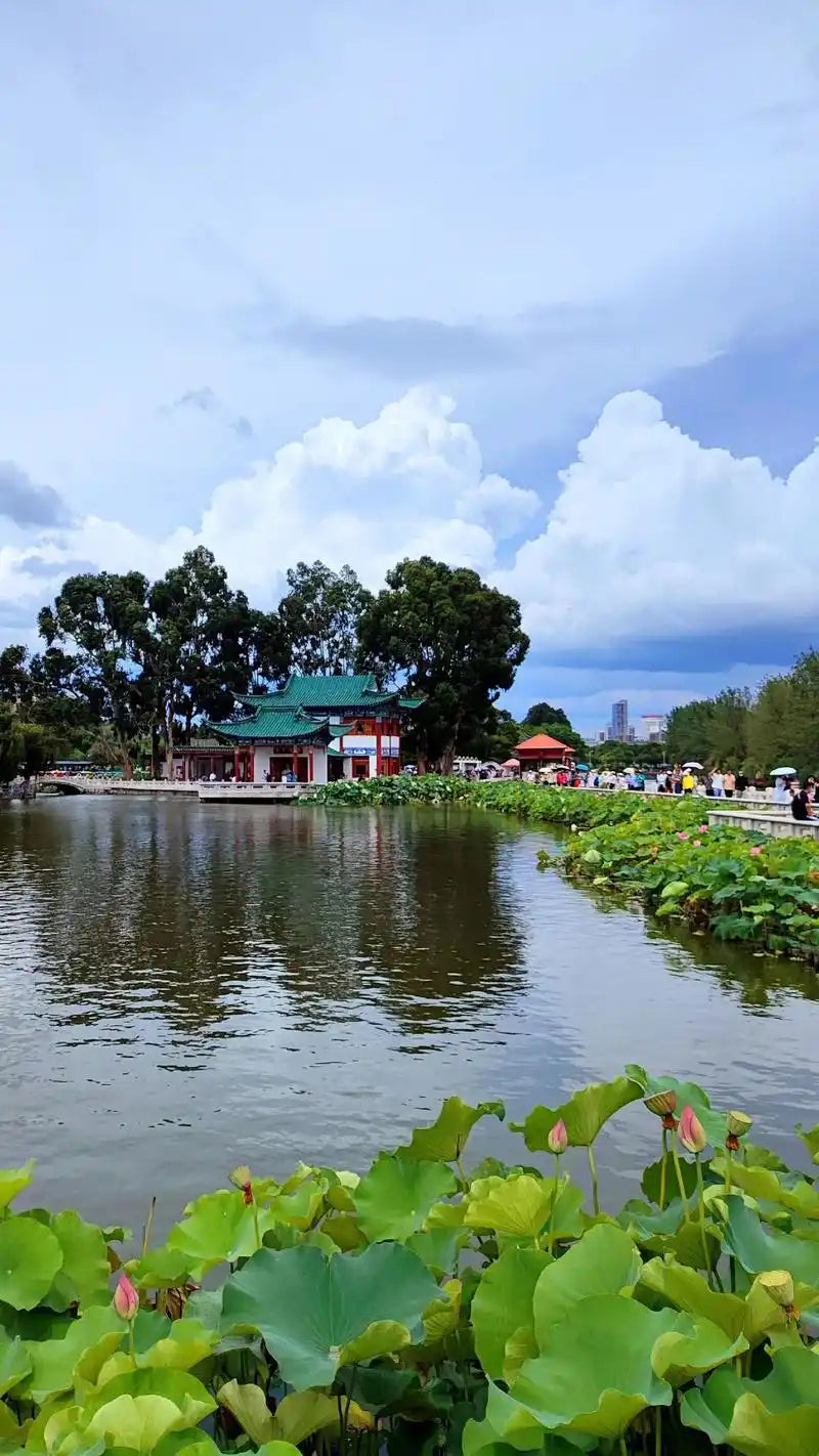 6 Days Private Tour of Kunming - Dali - Lijiang